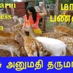 🐻மான் பண்ணை தொழில் செய்யலாமா ? Deer Farm Business Idea in Tamil by Ganesh Gandhi