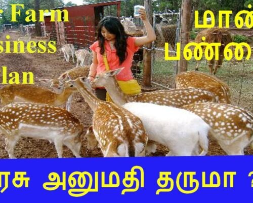 🐻மான் பண்ணை தொழில் செய்யலாமா ? Deer Farm Business Idea in Tamil by Ganesh Gandhi