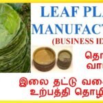 🍽Leaf Plate Business Idea in Tamil / மந்தார இலை, பனை மற இலை தட்டு தொழில் வாய்ப்பு