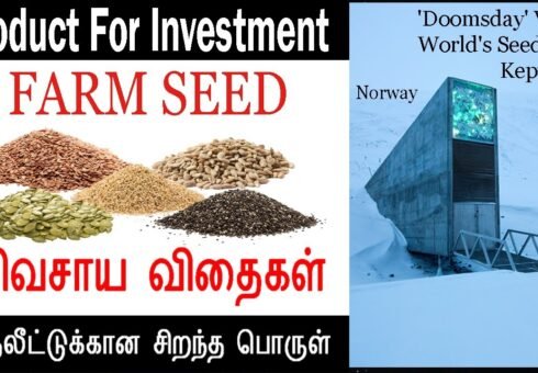 Farm Seed 🌱 Investment | இன்று 100, நாளை 1000 | Shocking Investment Idea | Agriculture Investment Farm Seed 🌱 Investment | இன்று 100, நாளை 1000 | Shocking Investment Idea | Agriculture Investment