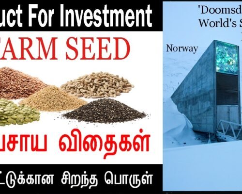 Farm Seed 🌱 Investment | இன்று 100, நாளை 1000 | Shocking Investment Idea | Agriculture Investment